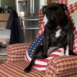 Meet your Posher, Charles